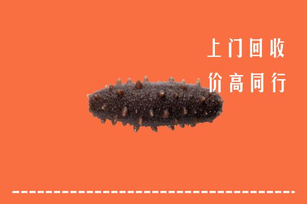 舞钢市回收海参